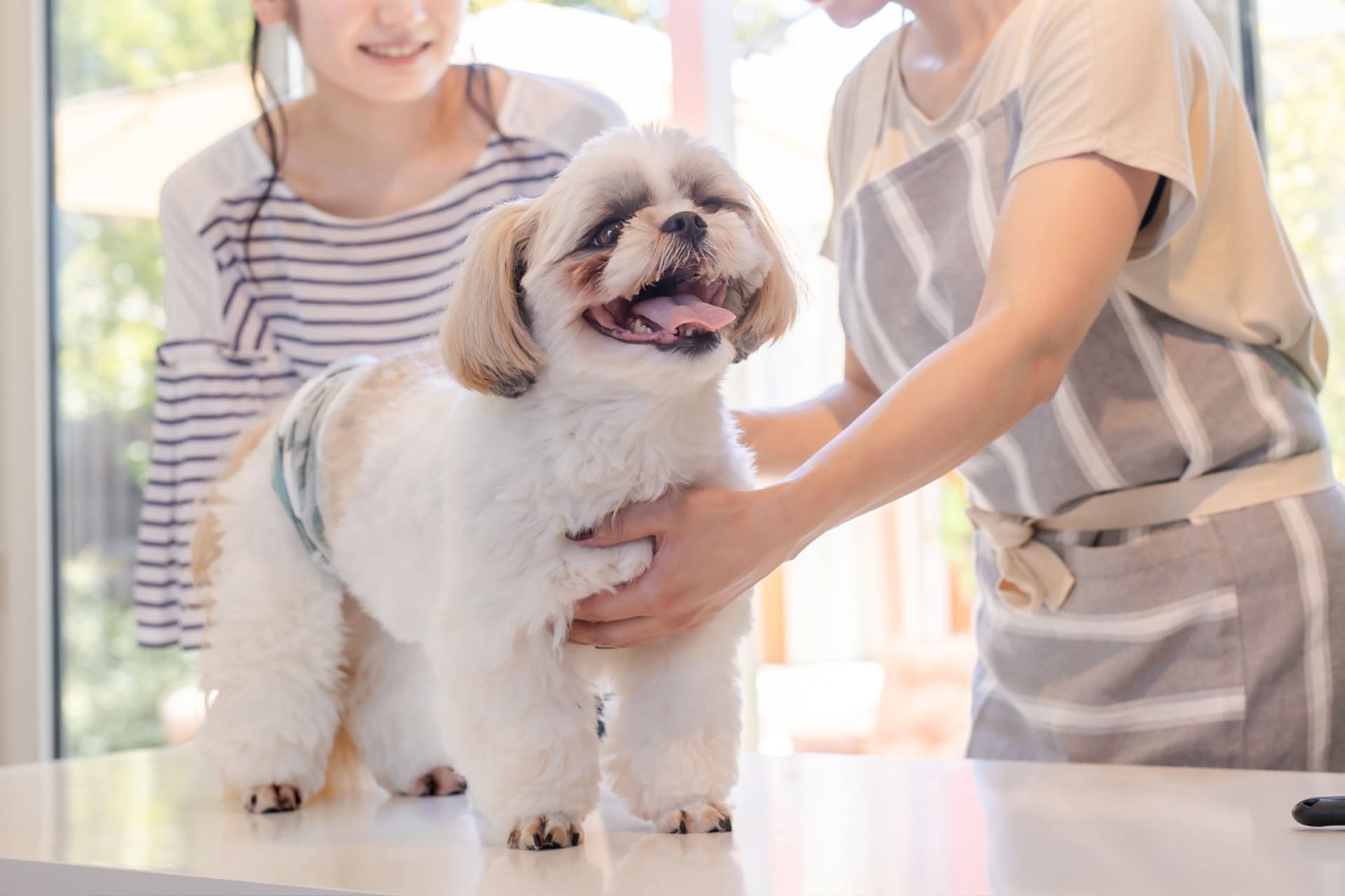 AdobeStock_384067457